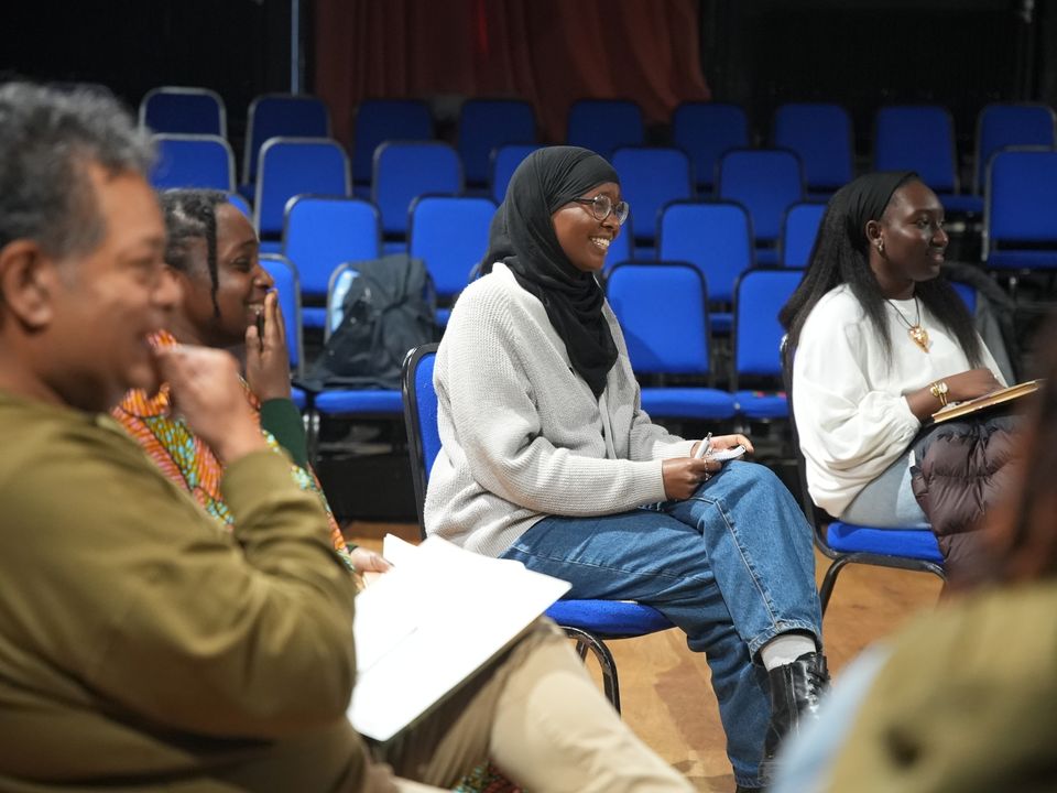 A group of people sit in blue chairs in a theatre or lecture hall, with rows of empty seats visible behind them.
